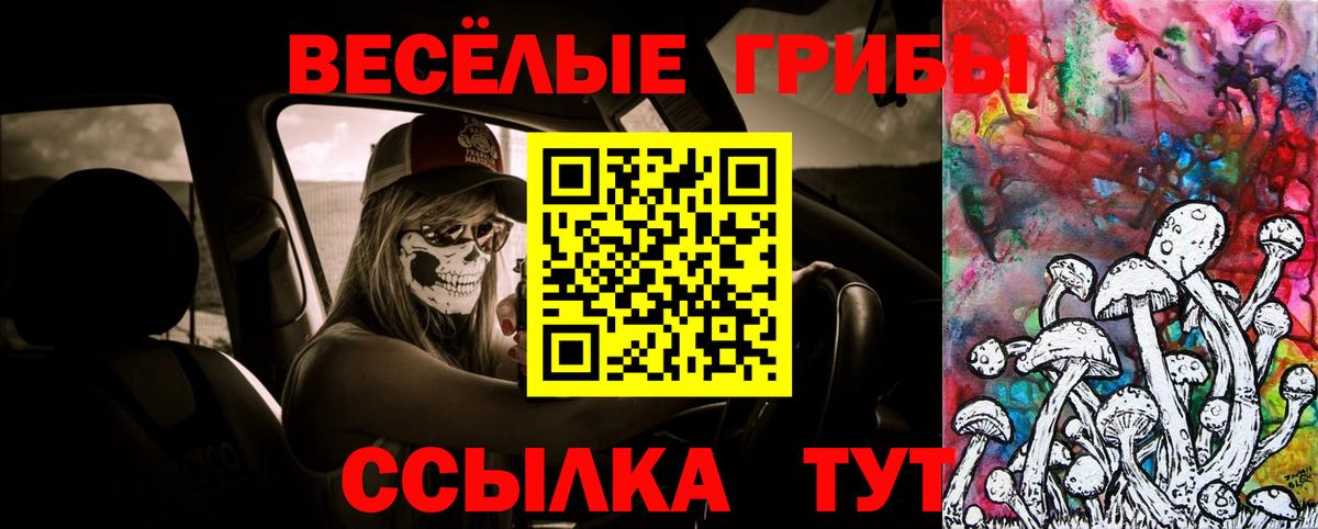 Галлюциногенные грибы Psilocybe  Вход с VPN  где продают наркотики  Аргун  Псилоцибиновые грибы Psilocybe 